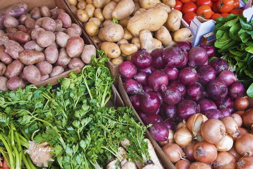 從地頭到餐桌 食用農產品安全全程護航步驟解析