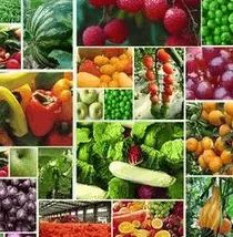 食藥監總局 堅持問題導向，加大食品農獸藥殘留治理力度，保障食用農產品安全